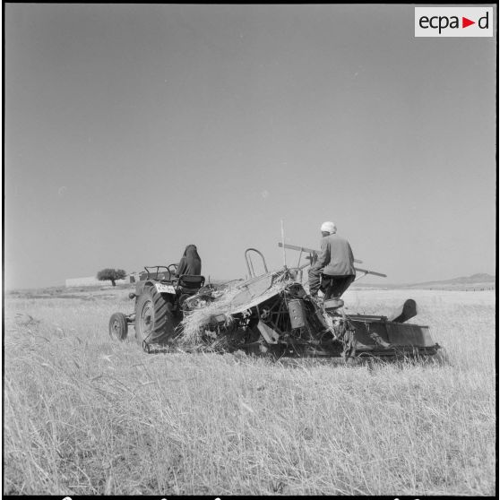 Les ouvriers, travaillant avec les machines agricoles.