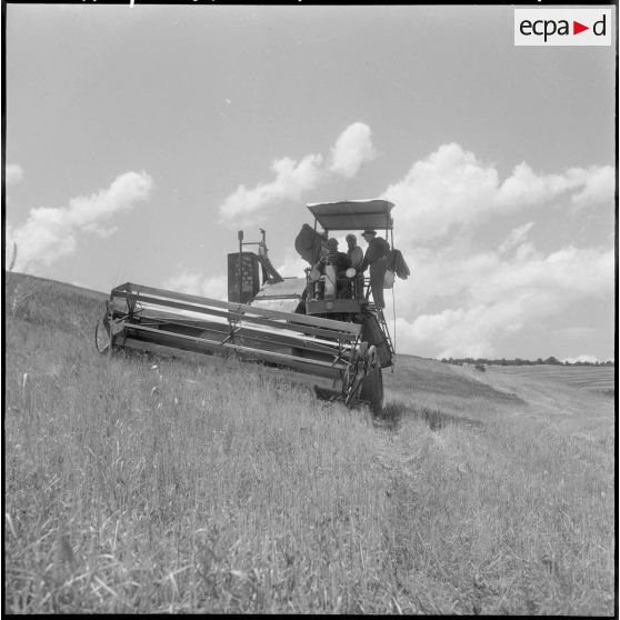 Une moissonneuse, spécialement conçue pour les coteaux.