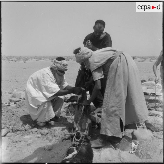 Djanet. Piste de l'Assakao. Des hommes s'attelent à une tâche.