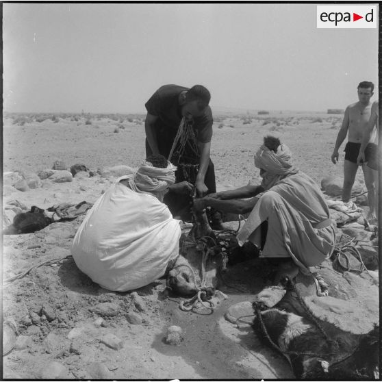 Djanet. Piste de l'Assakao. Des hommes s'attellent à une tâche.
