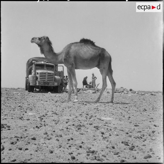 Djanet. Piste de l'Assakao.