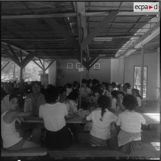 Après le bain, le repas avant la sieste.