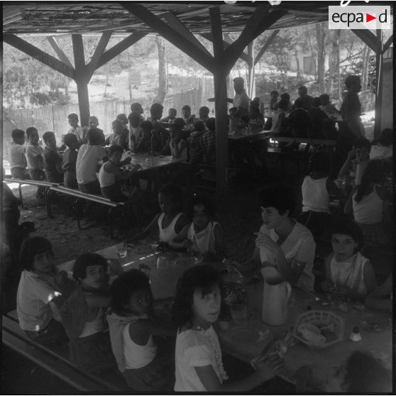 Après le bain, le repas avant la sieste.