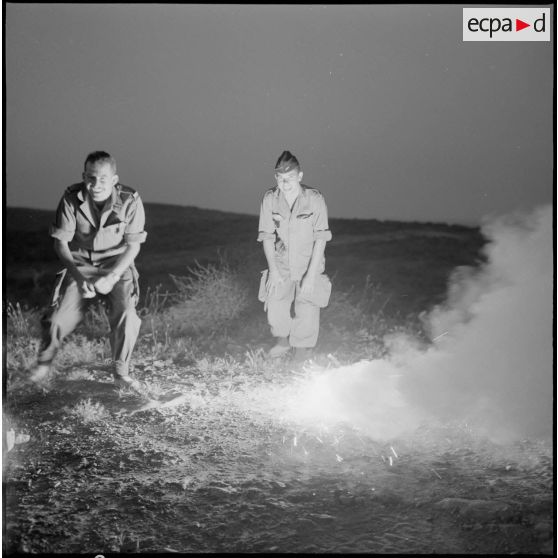 Les lucioles : oh quelle lumière !