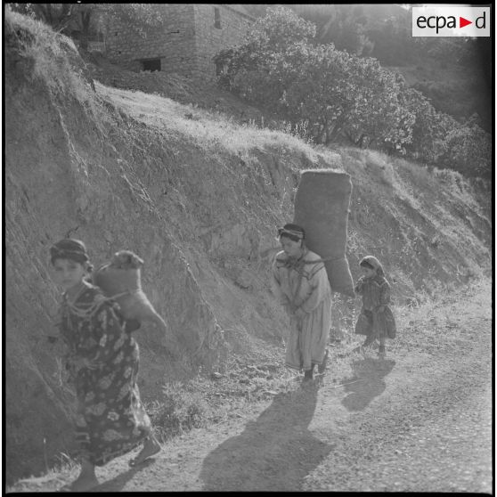 Retour avec la paille au village.