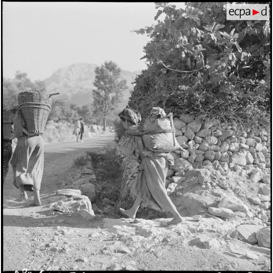 Vue des femmes chargées.