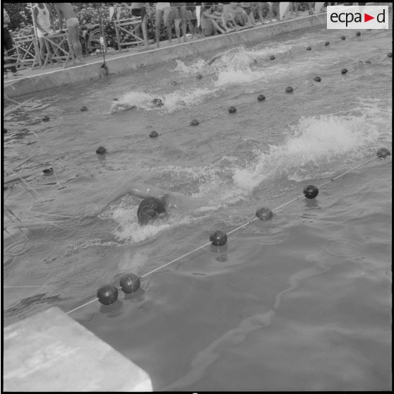 Epreuve de natation.