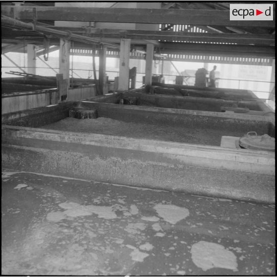 Cuves de fermentation.