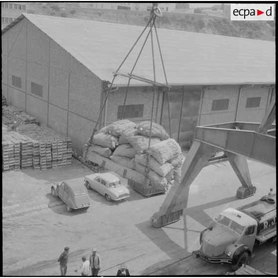 Les débarquements et empaquetage des pommes de terre.