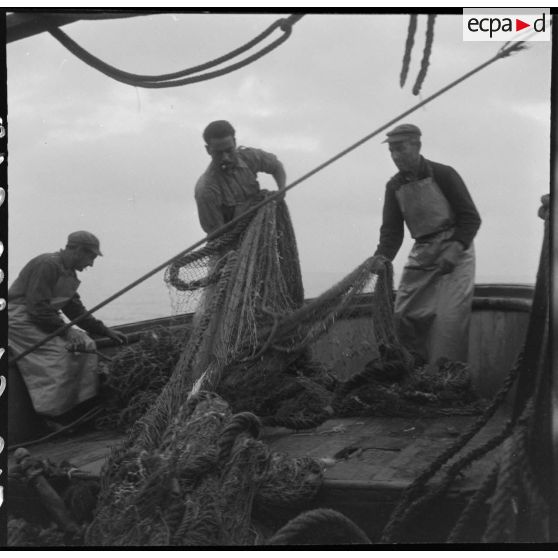Pêche en mer à bord d'un chalutier.
