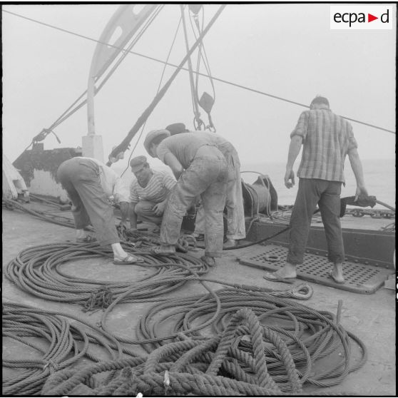 Différentes phases à bord du Salvor.