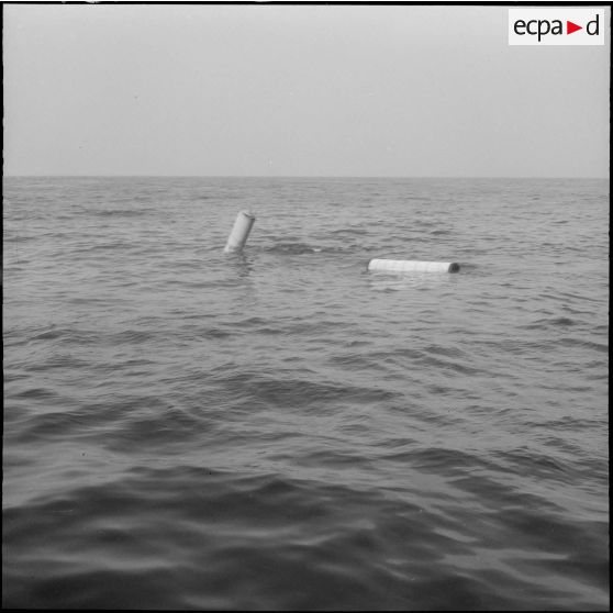 Les polystyrènes sont jetés à la mer.