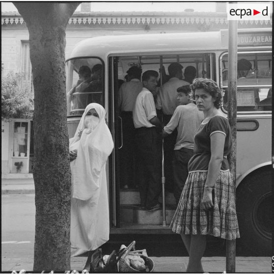 Scène de rue à Alger.