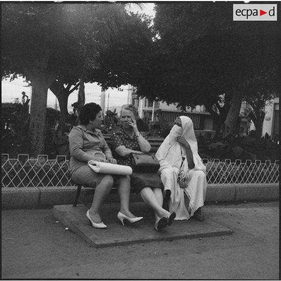 Scène de rue à Alger.