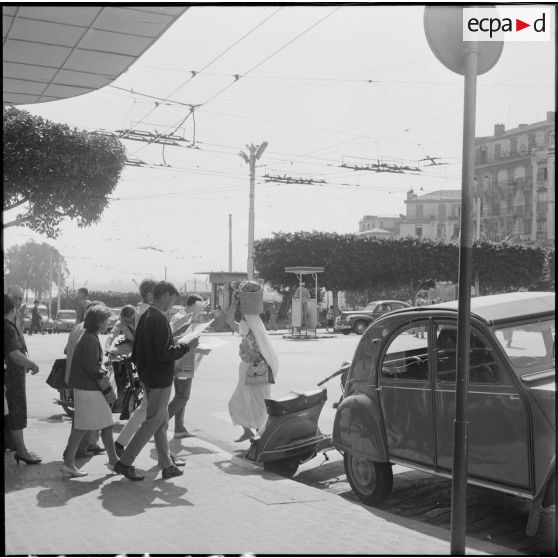 Scène de rue à Alger.