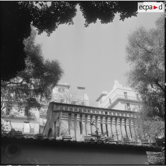 Drapeaux de l'Organisation de l'armée secrète (OAS).