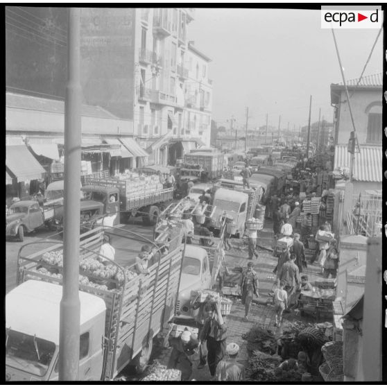 Les halles centrales d'Alger.