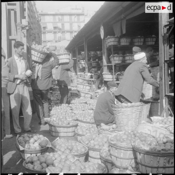 Les halles centrales d'Alger.