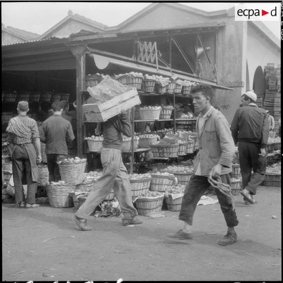 Les halles centrales d'Alger.