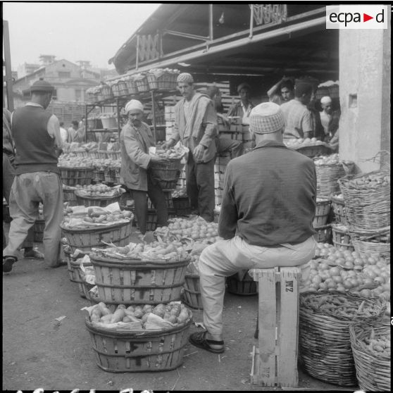 Les halles centrales d'Alger.
