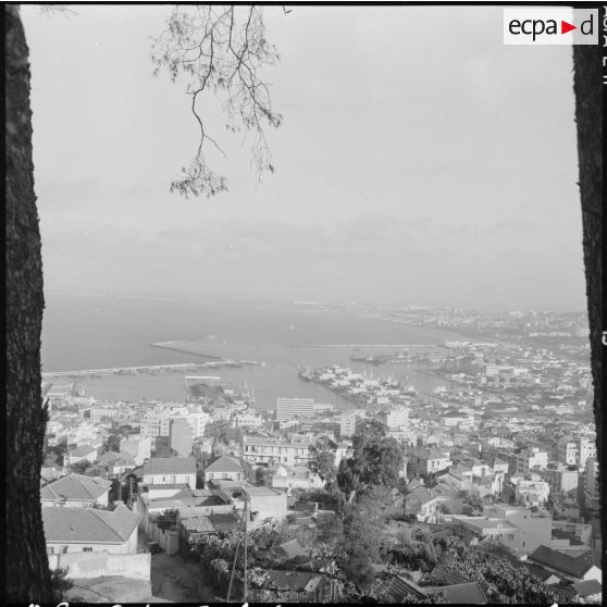 Port d'Alger. Le bassin de Mustapha.