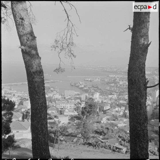 Vue panoramique d'Alger.