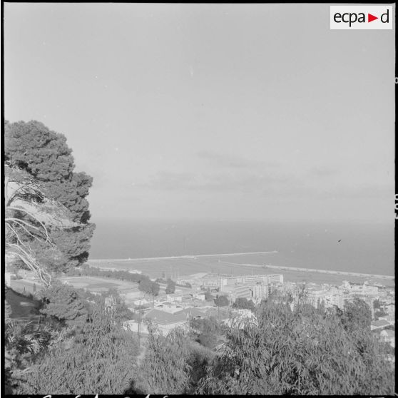 Vue panoramique d'Alger.