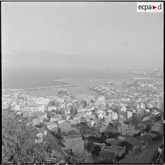 Vue panoramique d'Alger.