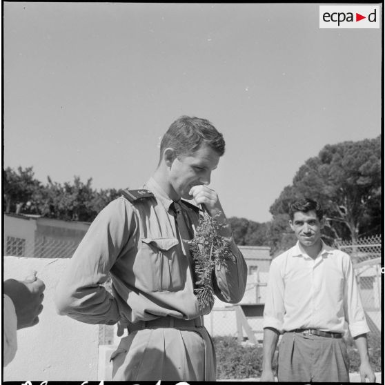 L'enseigne de vaisseau déguste une carotte.