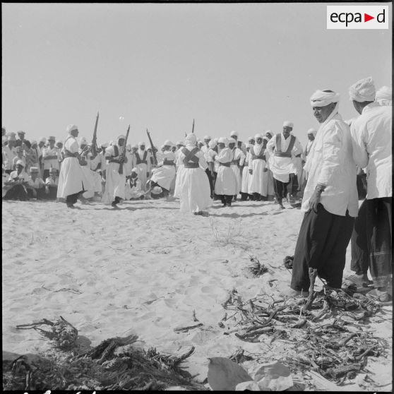 Bir el Adal. Cérémonie de l'échange des montures. Danses et musiciens.