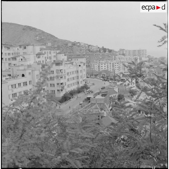 Alger. Climat de France. Un groupe de manifestants avec des drapeaux du Front de libération national (FLN).