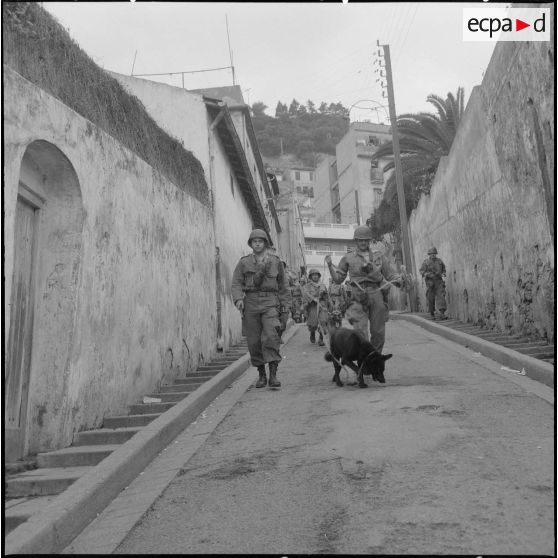 Alger. Belcourt. Quadrillage du quartier.