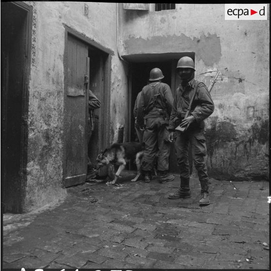 Bône. Manifestations. Des soldats fouillent des habitations avec leur chien.