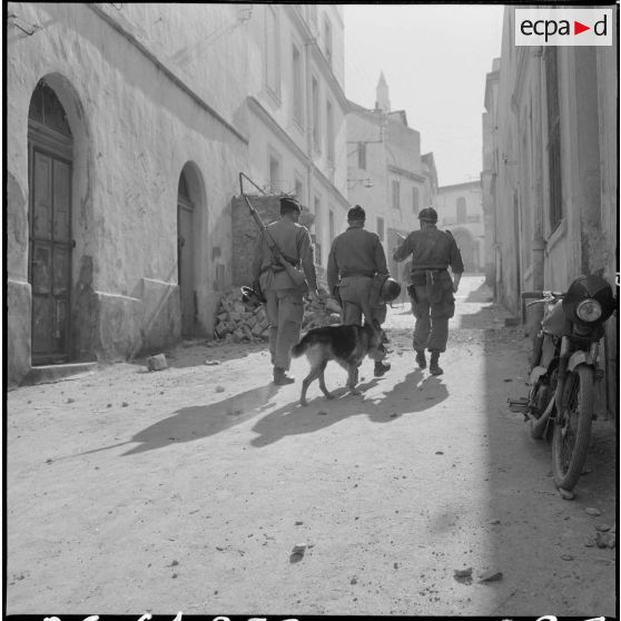 Bône. Manifestations. Des soldats dans la rue avec leur chien.