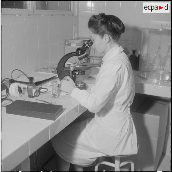 Alger. Clinique du centre hospitalier de la Madeleine. Au laboratoire d'analyses médicales, une laborantine penchée sur son microscope.
