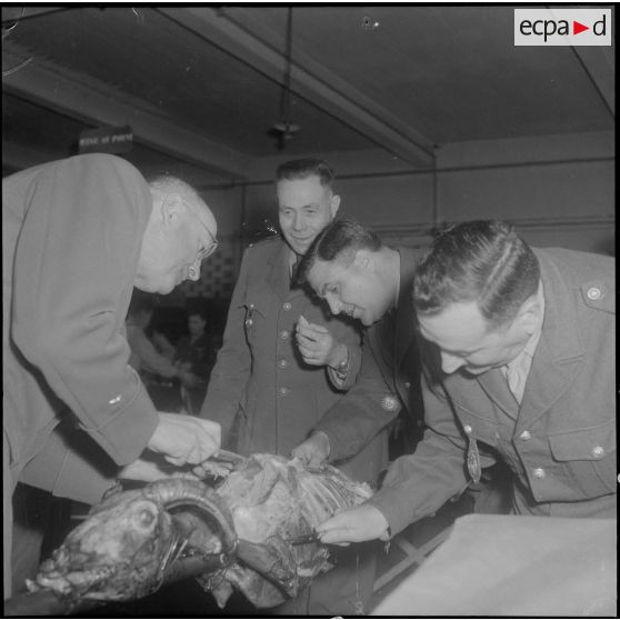 Algérie. La Saint Eloi fêtée par les gendarmes. Méchoui.