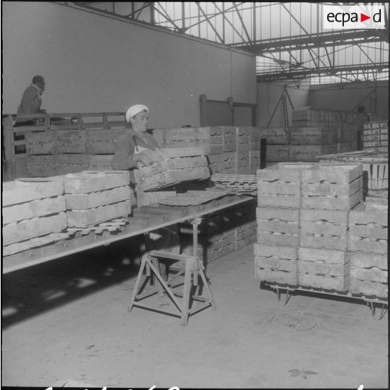 Les Vergers d'Oued-Fodda. Les oranges sont déchargées et vidées dans un grand bac contenant du borax.