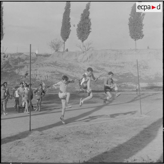 Orléansville. Centre éducatif Albert Camus. Pendant une séance de plein air, les élèves des groupes scolaires viennent effectuer leur culture physique sous la direction de moniteurs de sports.