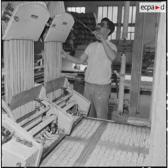 Alger. Usine de pâtes alimentaires Ferrero. Vue partielle de l'une des nombreuses machines de fabrication de pâtes.
