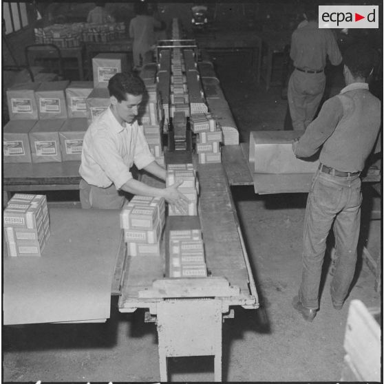 Alger. Usine de pâtes alimentaires Ferrero. Machine d'emballage.