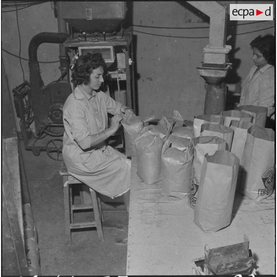 Alger. Usine de pâtes alimentaires Ferrero. Emballage.