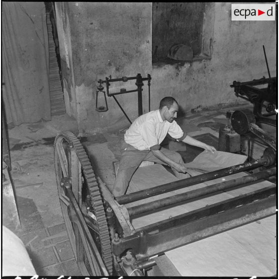 Aïn el Hadjar. Fabrique de papier. Débitage du papier dès sa sortie de la machine.