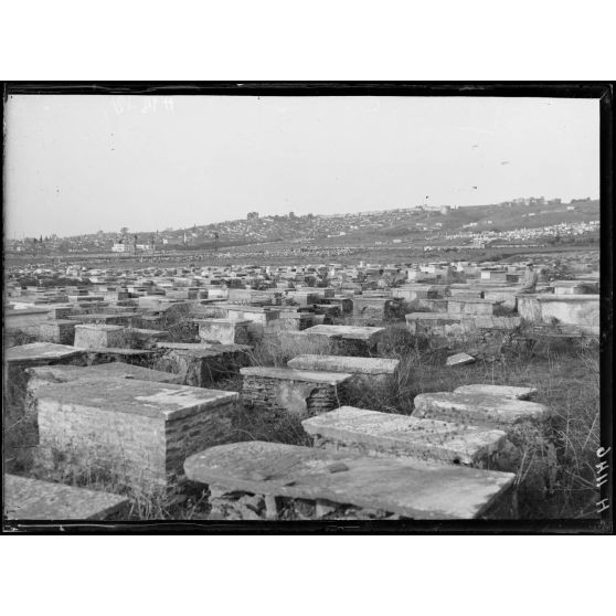 Salonique. Les cimetières israélites. [légende d'origine]