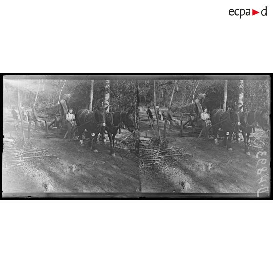 Quesmy. La scierie canadienne. Manutention des bois. [légende d'origine]