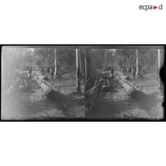 Quesmy. La scierie canadienne. La glissière. [légende d'origine]