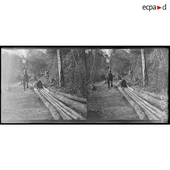 Quesmy. La scierie canadienne. La glissière. [légende d'origine]