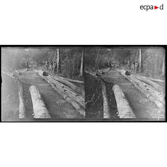 Quesmy. La scierie canadienne. La glissière. [légende d'origine]