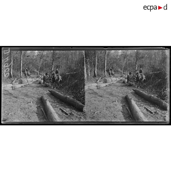 Quesmy. La scierie canadienne. La glissière. [légende d'origine]