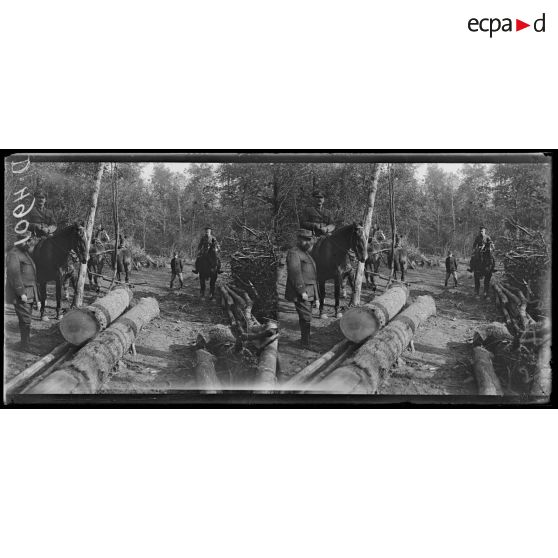 Quesmy. La scierie canadienne. Arbres amenés aux wagonnets. [légende d'origine]