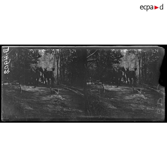 Quesmy. La scierie canadienne. Le haut de la glissière. [légende d'origine]